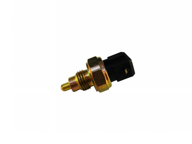 INTERRUPTOR RE PEUGEOT 106/205 2T